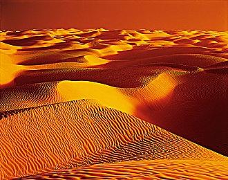 宝可梦GO开发商获3亿美元融资开发元宇宙 估值90亿