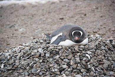 《使命召唤：现代战争3》PlayStation独占内容公布