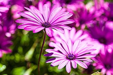 类魂新作《匹诺曹的谎言》再曝31分钟实机演示视频