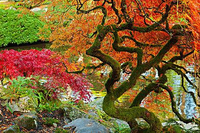 《离奇红脖子恐龙洋馆3》Steam页面 年内发售