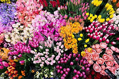 《巫师3》HD重制Mod次世代版全新实机视频展示